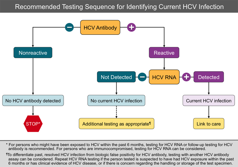 What Causes False Positive Hep C Test