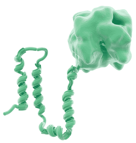 artistic rendering of NS2