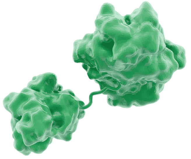 artistic rendering of NS3