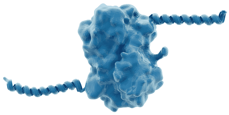 artistic rendering of NS4B