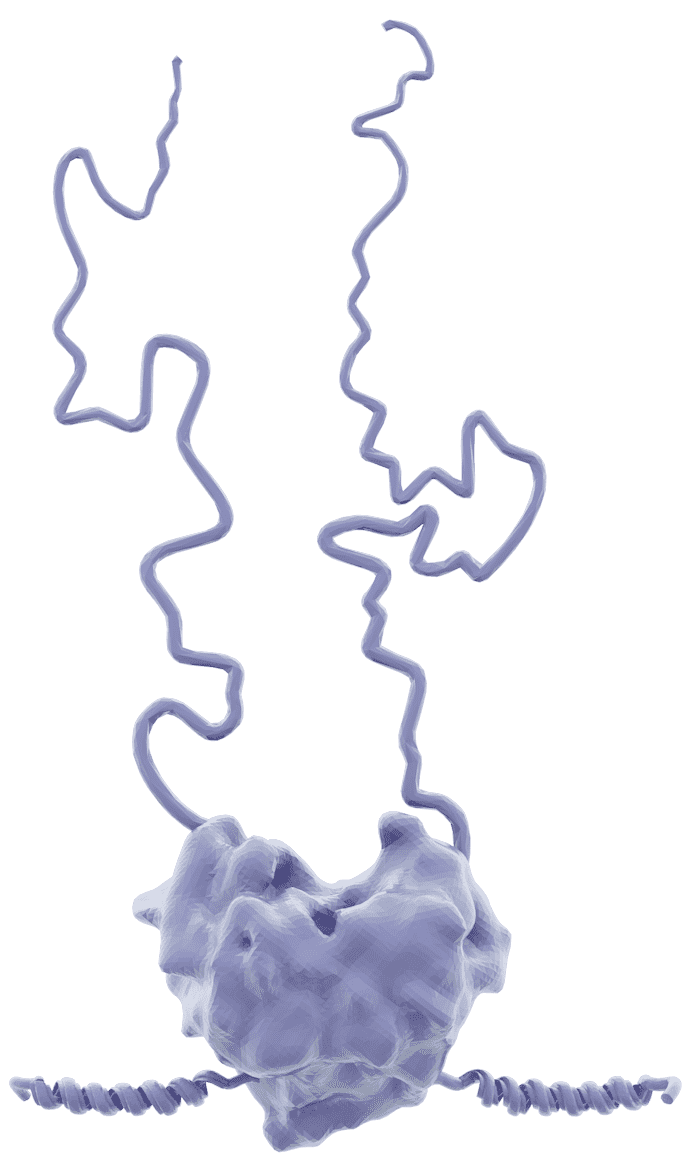 artistic rendering of NS5A