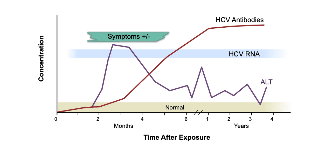 cdc hepatitis a transmission