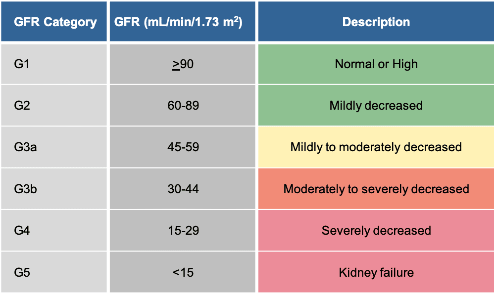 What Is Estimated Gfr Usefull Information