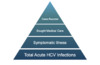 As shown in this conceptual model, only a minor proportion of persons with acute (new) HCV infection have their case reported.