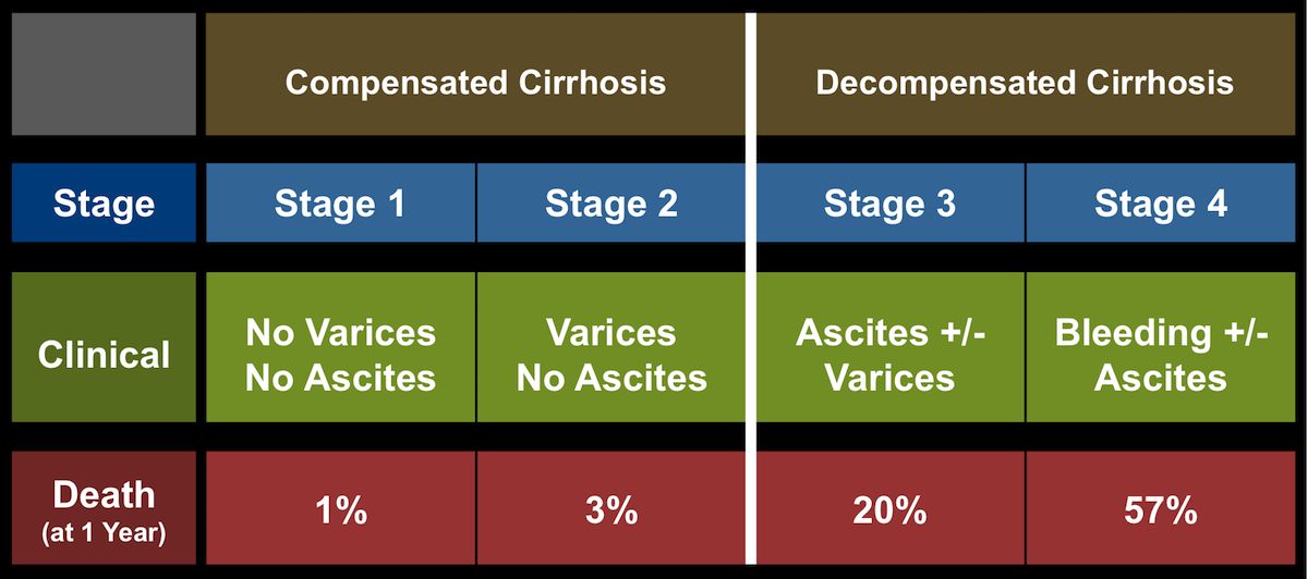 Stage 4 Cirrhosis