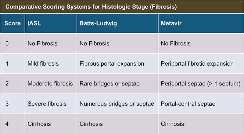 Core Concepts - Evaluation and Staging of Liver Fibrosis ...